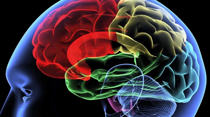 Different Brains Understanding Neurodiversity