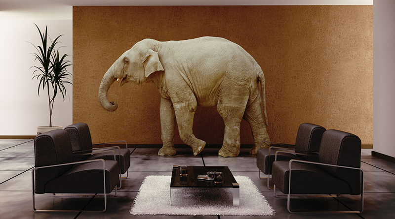 Modern Interior With Elephant Inside (3D Rendering)