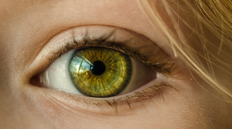 New Study Tracking Eye Movement Offers Innovative Method For Diagnosing ADHD