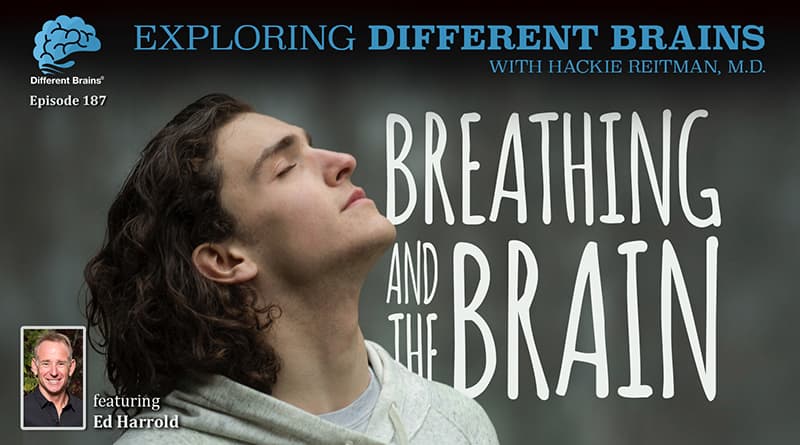 Breathing And The Brain, With Ed Harrold | EDB 187